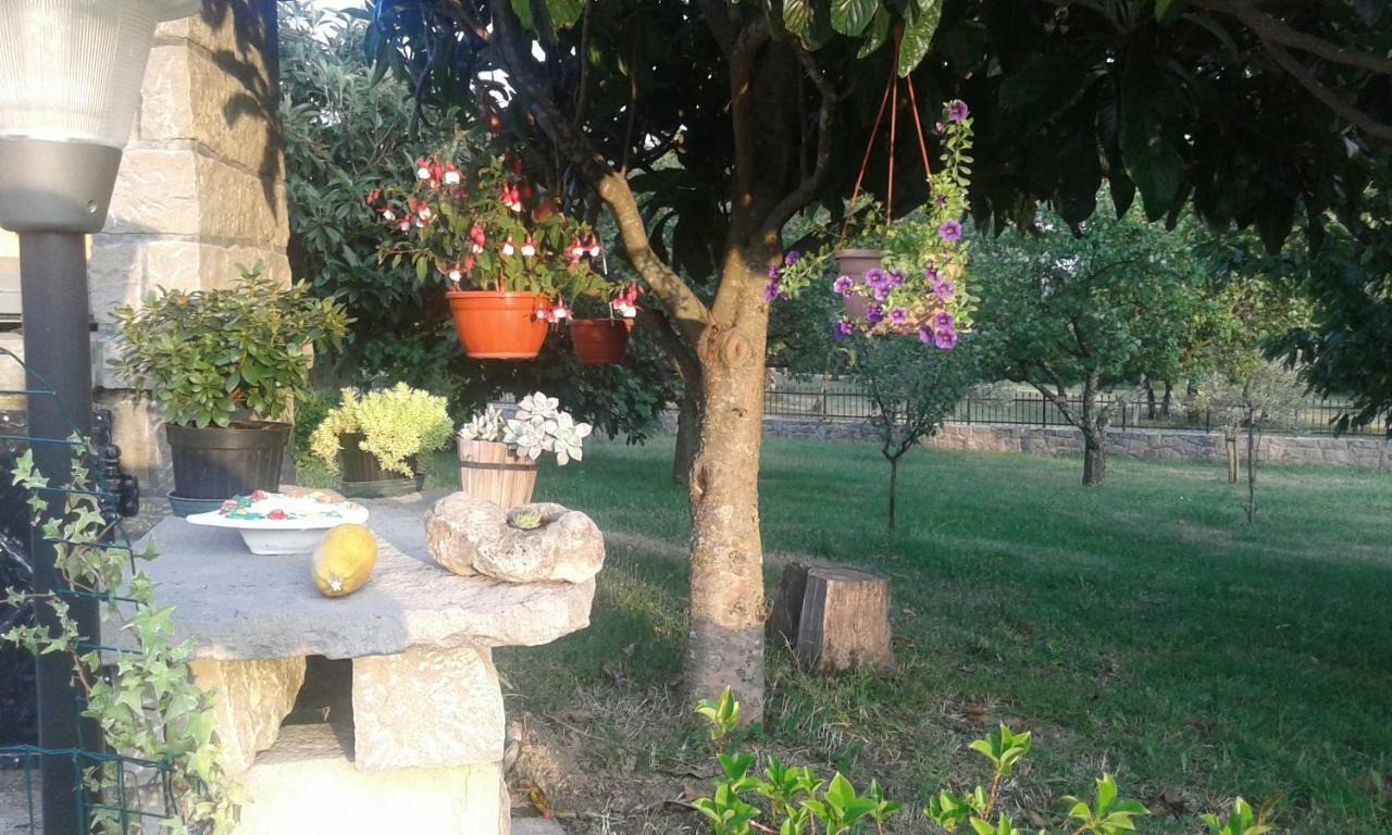 Ciritez Apartman Nevia Holiday Home מראה חיצוני תמונה